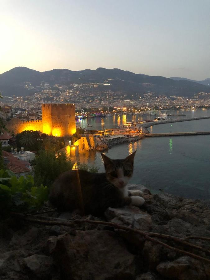 Harmony Butik Otel Alanya Kültér fotó